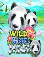 เล่นง่ายได้จริงกับ asia999 เครดิต ฟรี 100